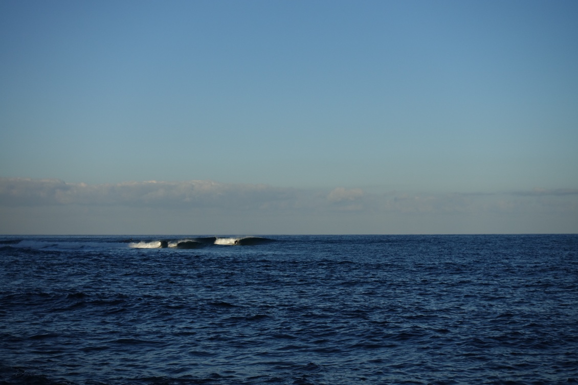 Les surfeurs matinaux