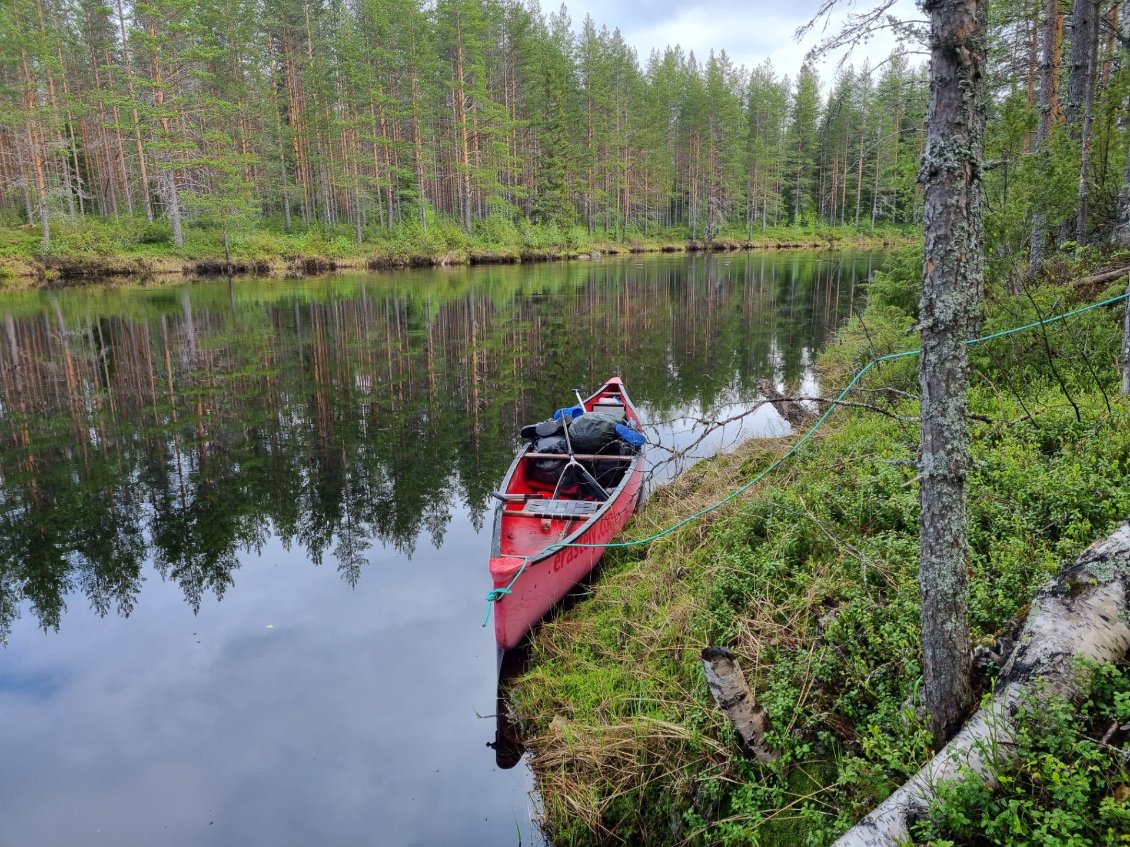 La rivière est un mirroire