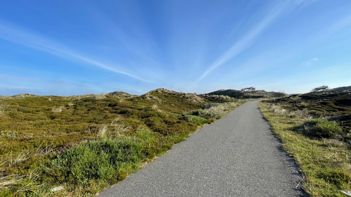 La piste cyclable