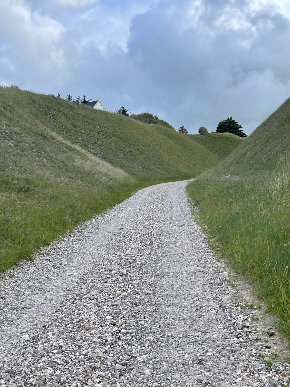 Au milieu des dunes