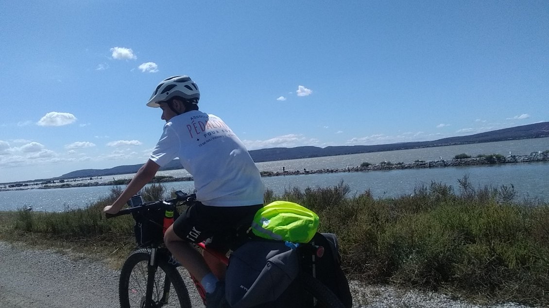 Sur le chemin de halage du canal du Rhône