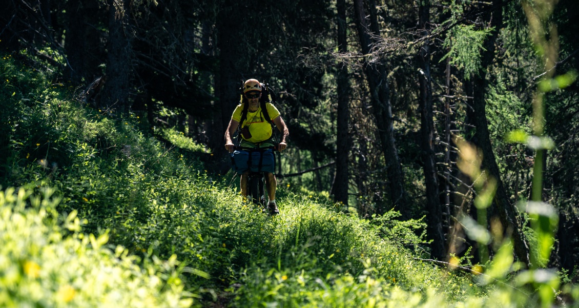 On se régale sur le sentier monotrace dans les arbres, joueur et ombragé.