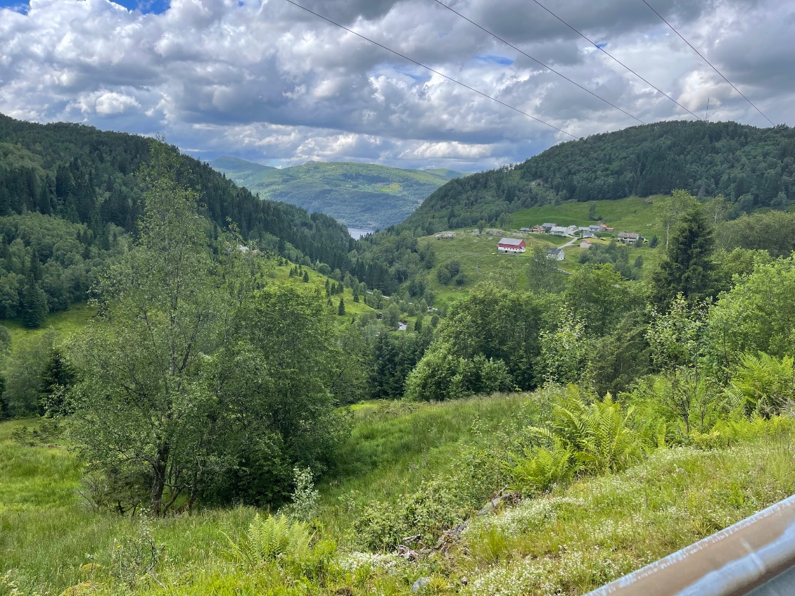 Je suis partie du fjord situé dans le triangle de sapins.