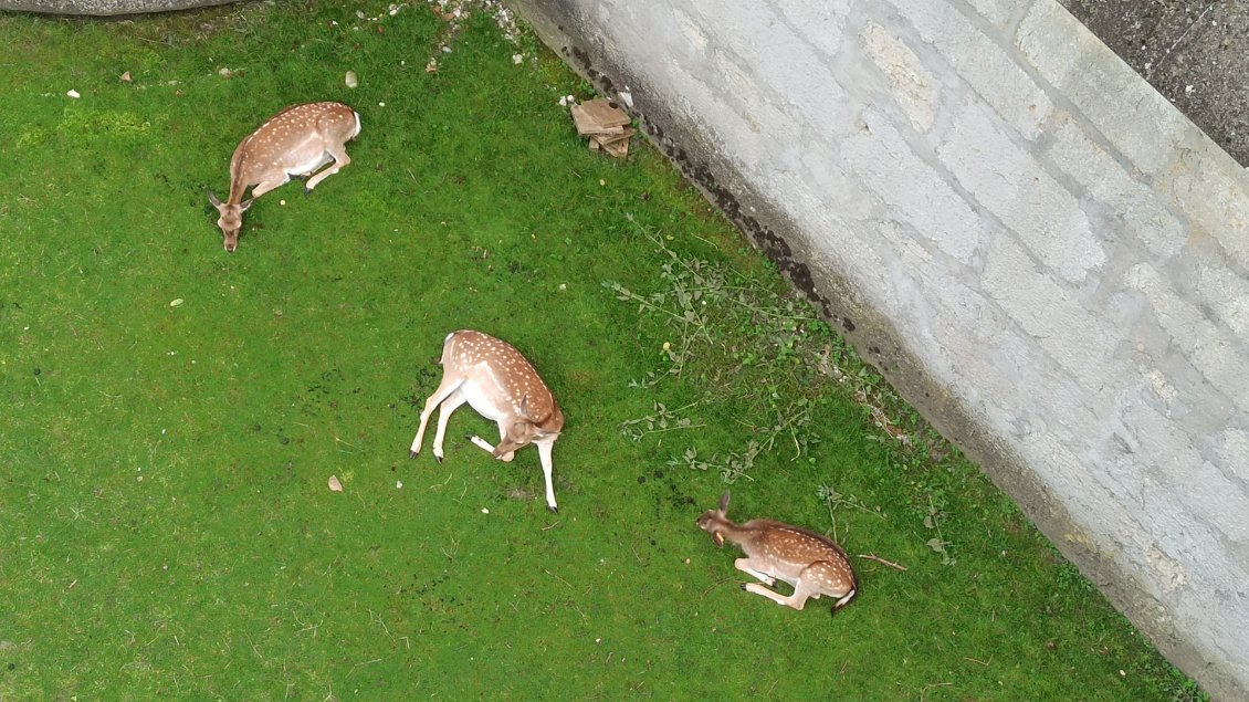 J2. Les habitants de la fortification.