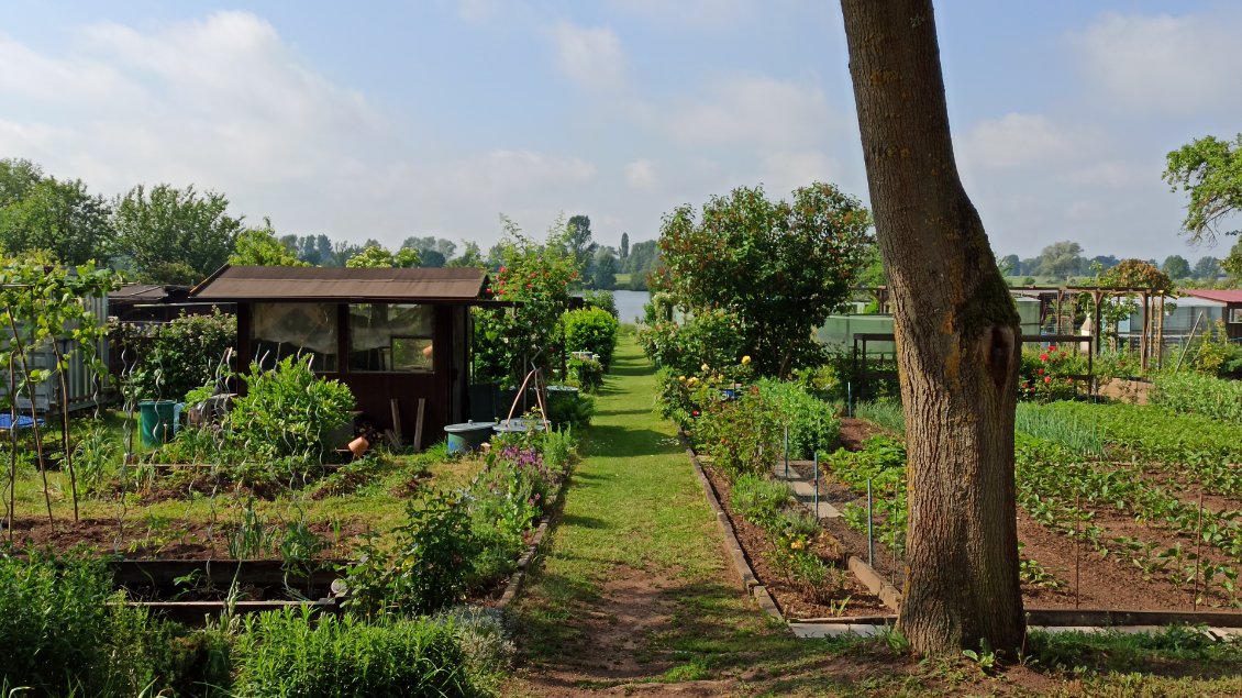 J12. Jardins potagers en rive du Danube. En Bavière que ce soit dans l'aménagement urbain ou en milieu rural, une certaine quiétude de vie est palpable.