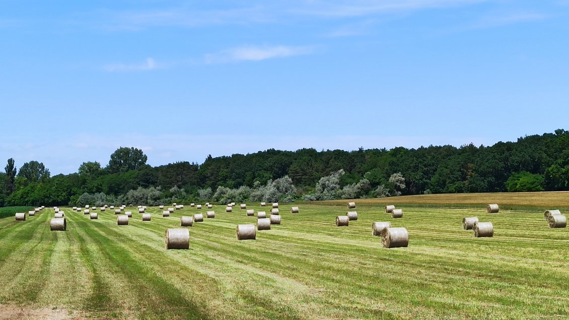J26. Couleurs et perspectives du monde rural.
