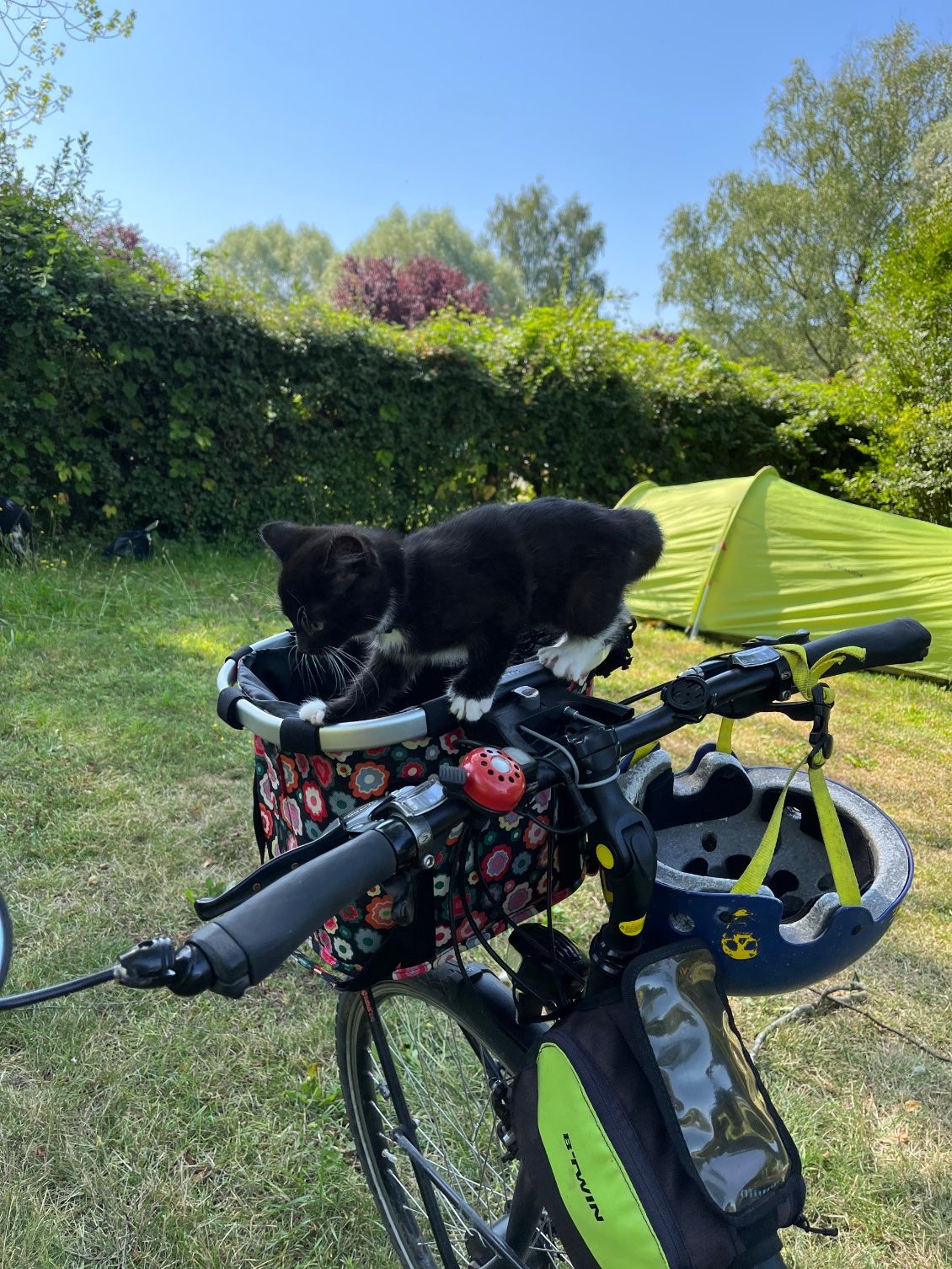 Kira joue à chat perché.