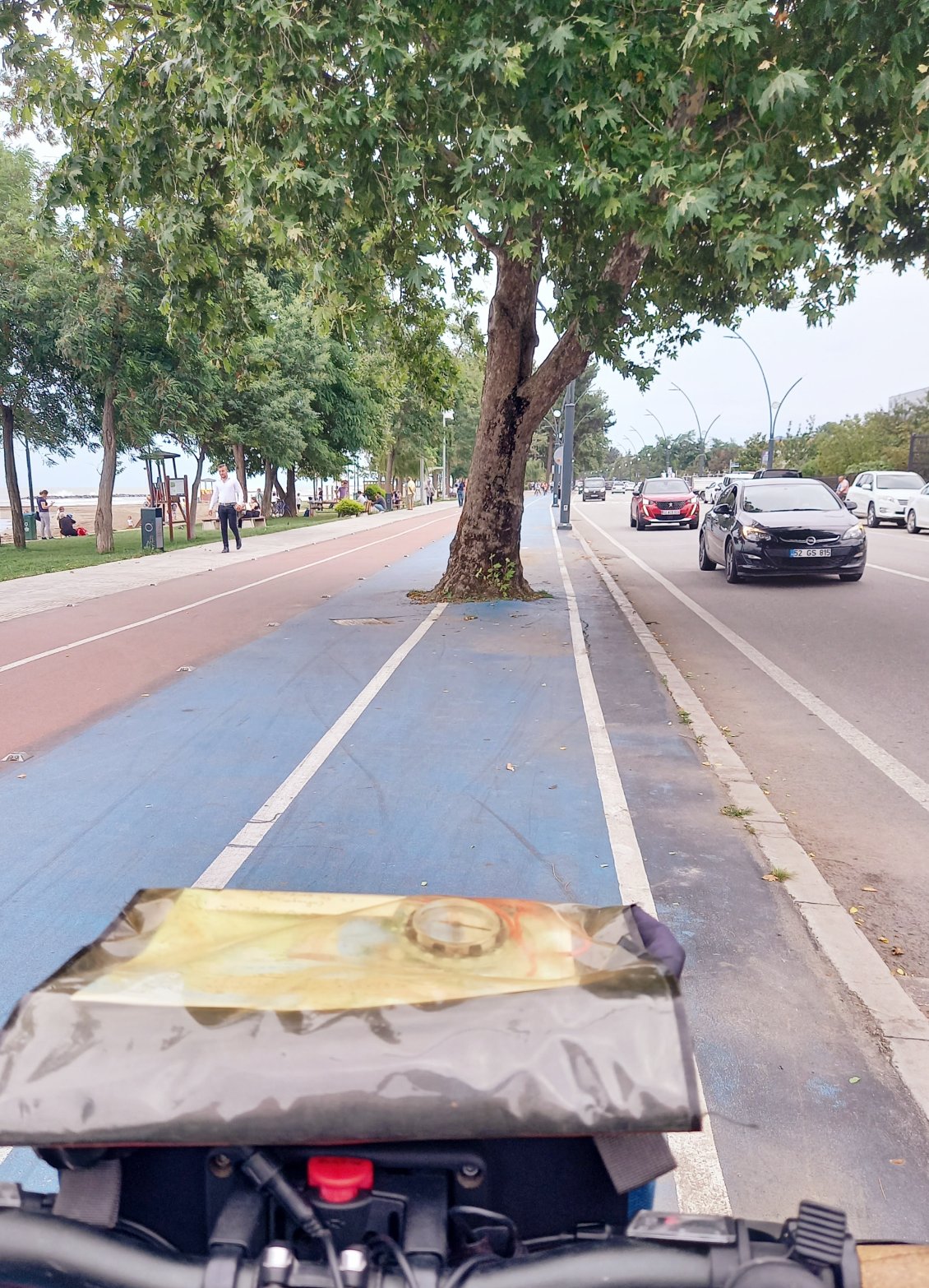 L'ecologie totale, des pistes cyclabes AVEC des arbres :))