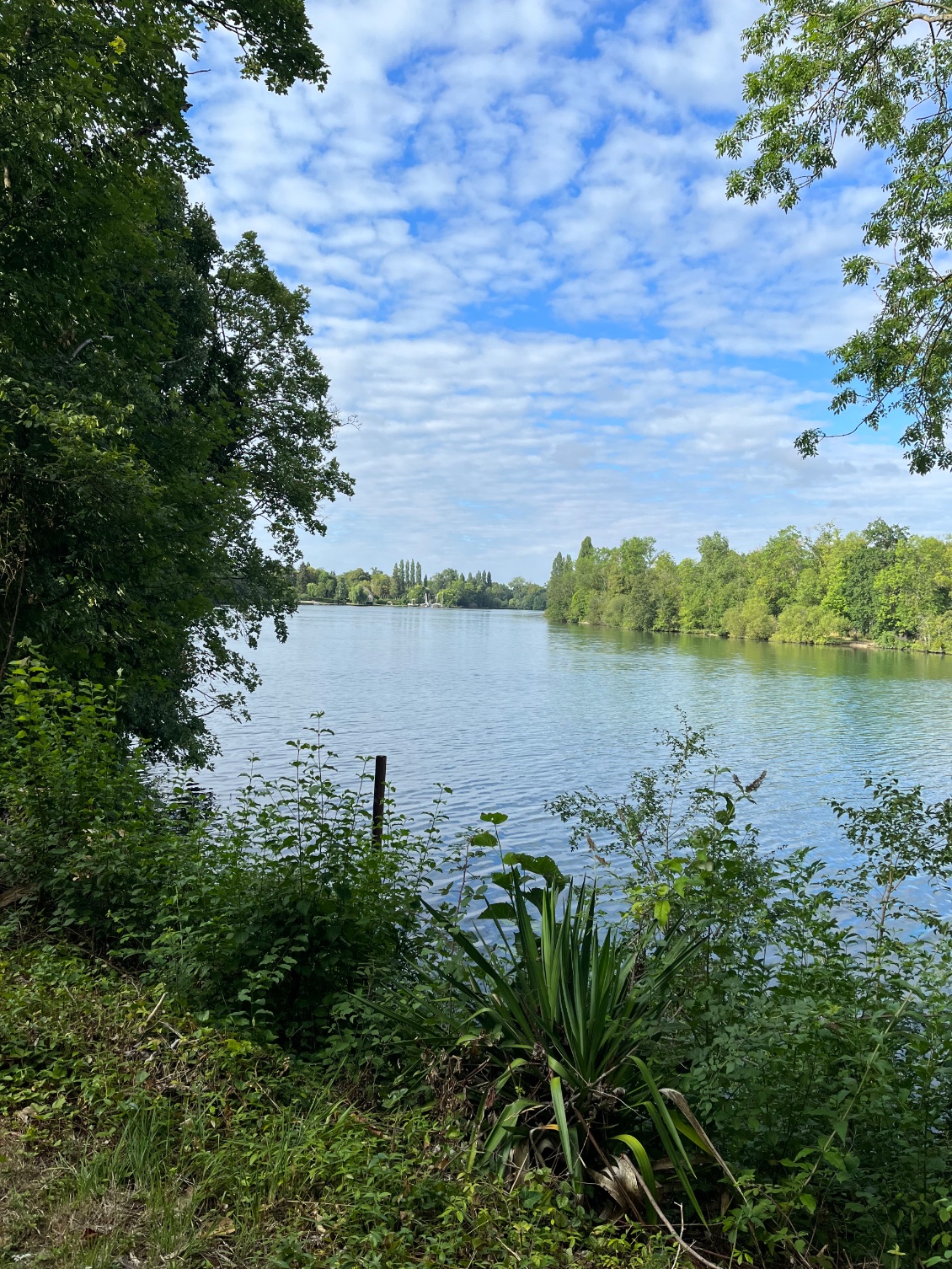 La Seine : rive droite.
