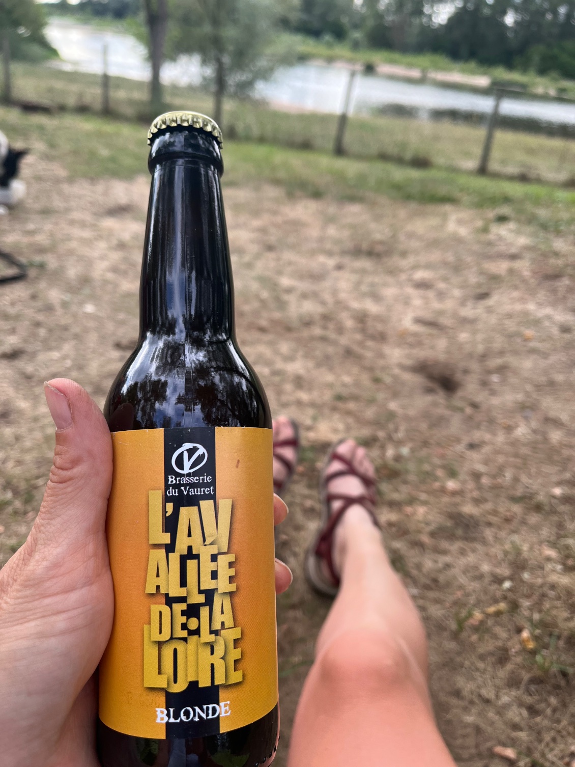 Une bonne bière blonde bio et locale ( mais avec l’accent du Loiret )