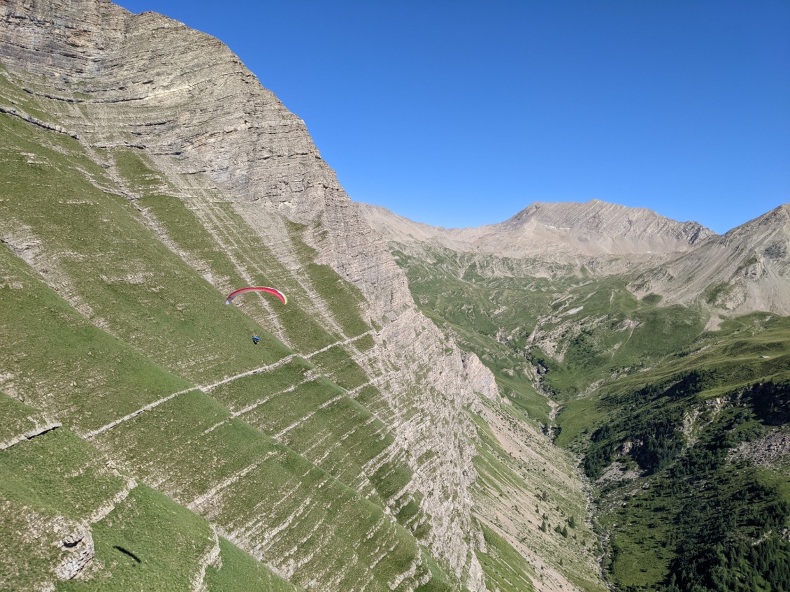 Le long des falaises de la Diablée. Des biches ou chevreuils, difficile de dire, paissent tranquillement (à la place des chamois !!!) sans nous prêter attention.