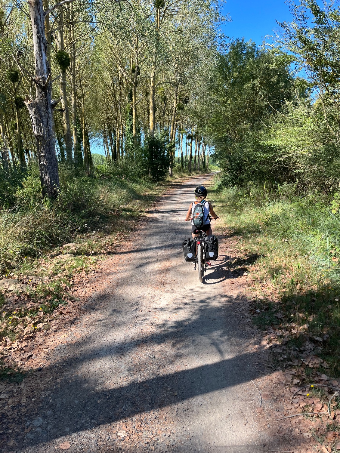 …et c’est reparti…