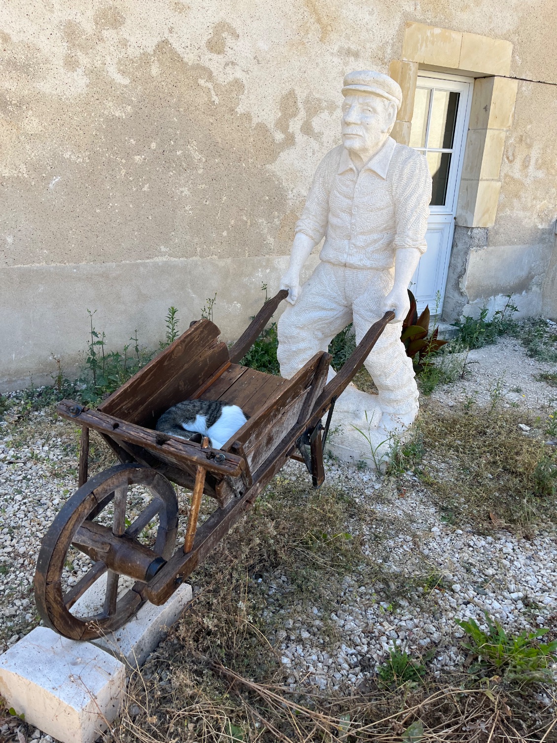 On a retrouvé Joey !