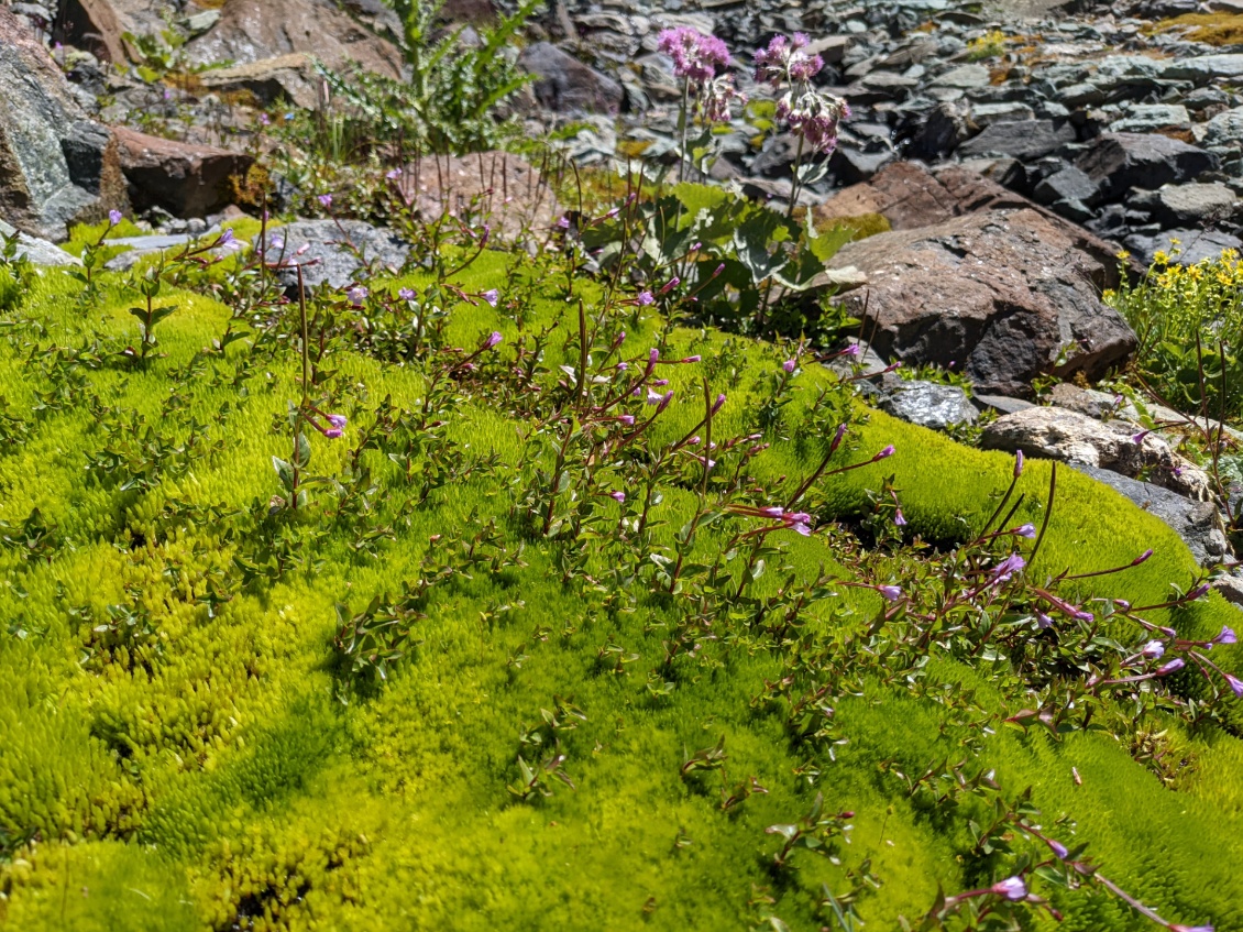 Petit intermède bucolique, on refait l'eau à une petite source bien fraîche.