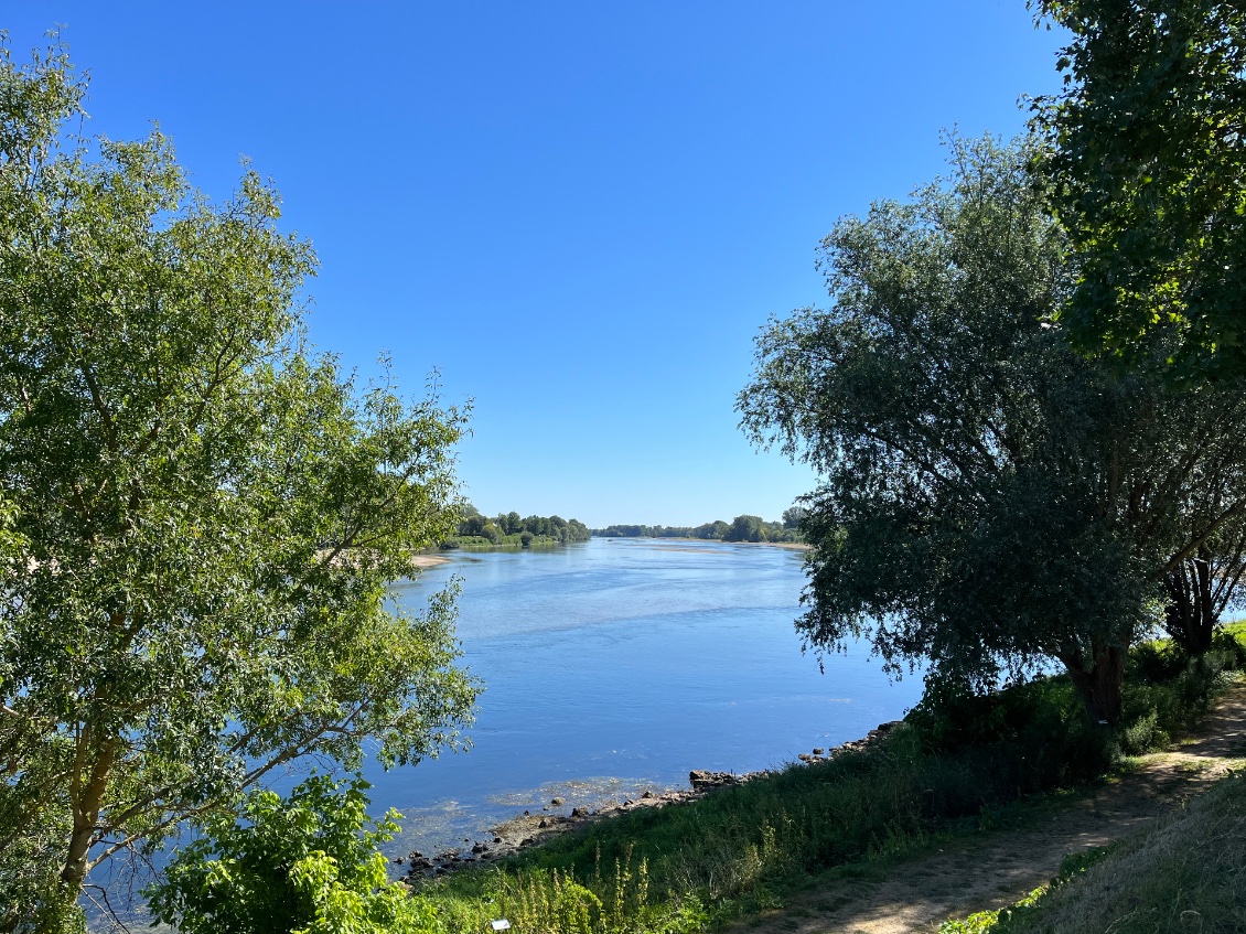 Confluence Loire / Vienne.