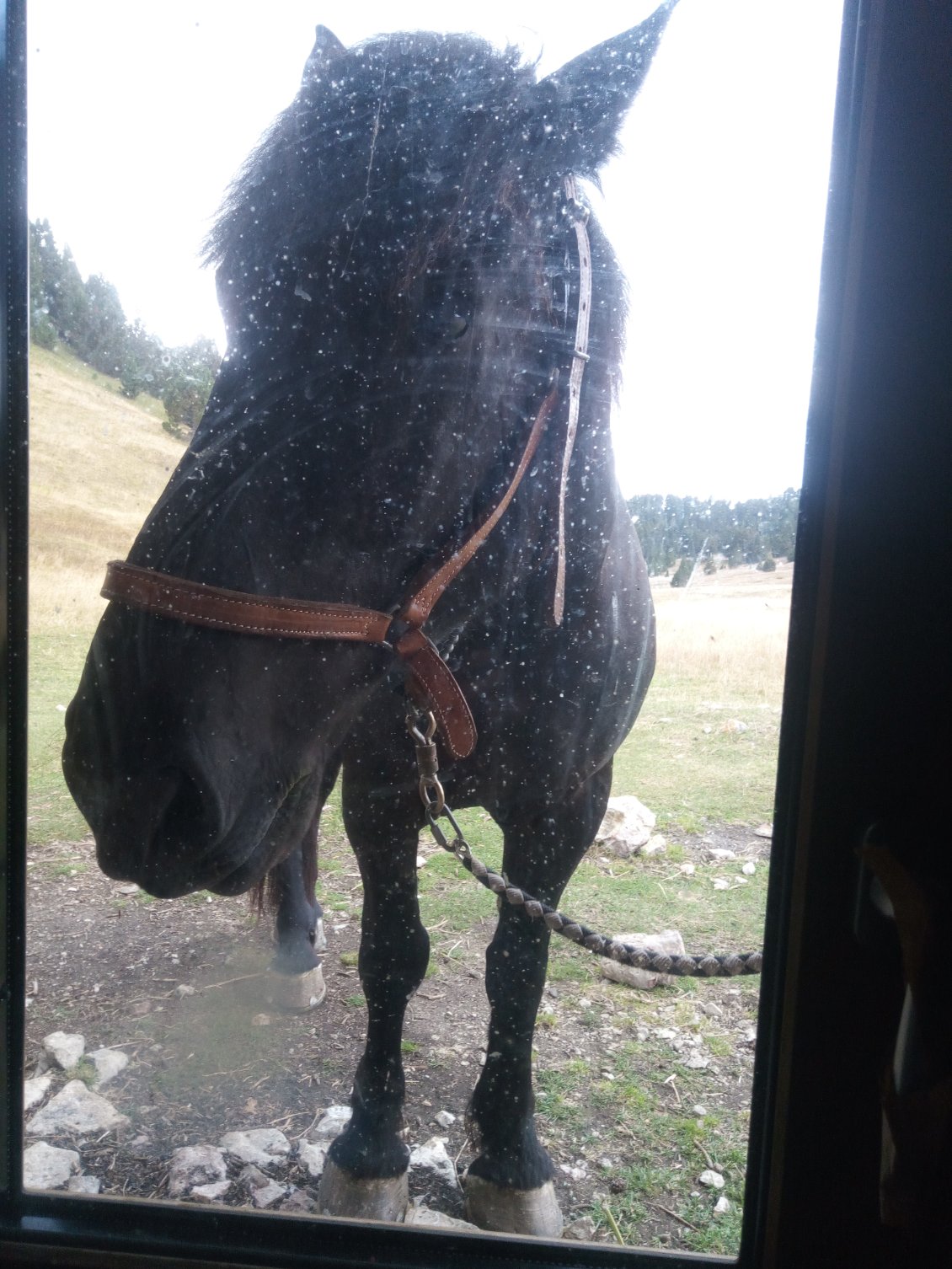 On nous surveille pendant le casse-croute dans le refuge !