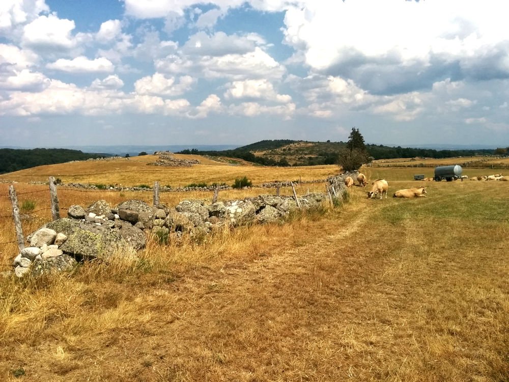 Plateau de l'Aubrac