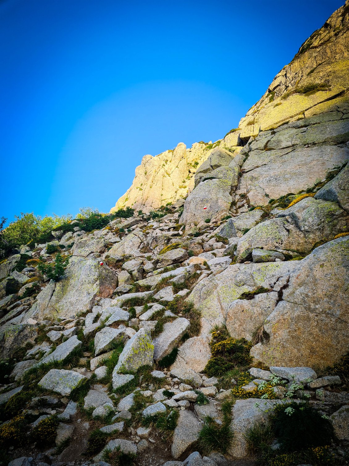 Mais ça monte. Vous voyez les petites marques rouges....