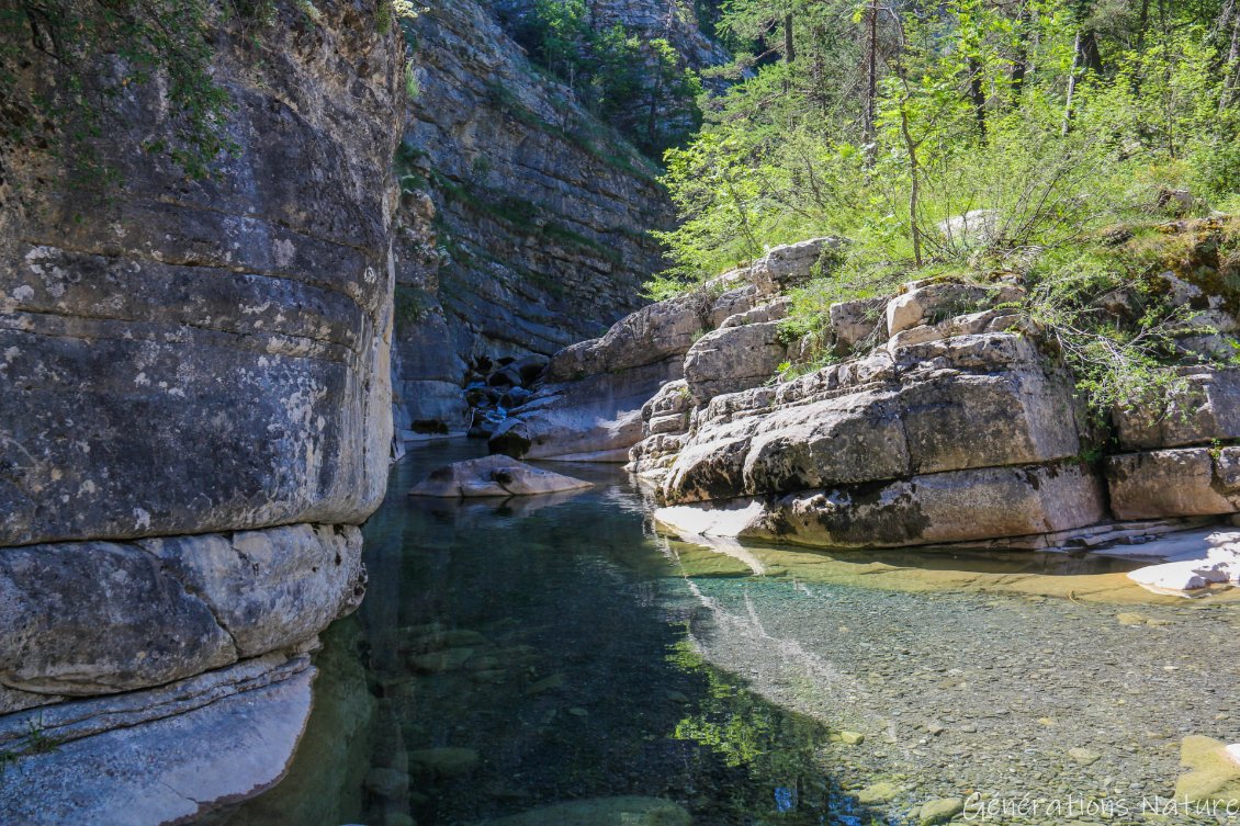 gorges vraiment jolies