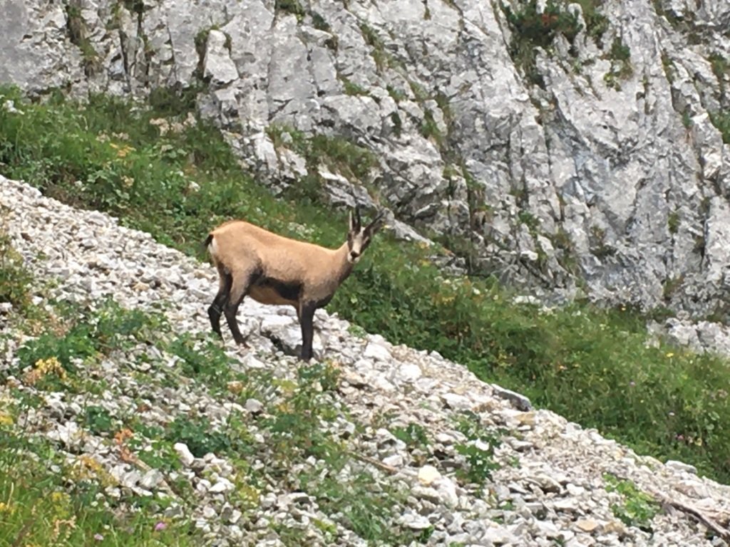 Dans le Parc national, même pas peur !