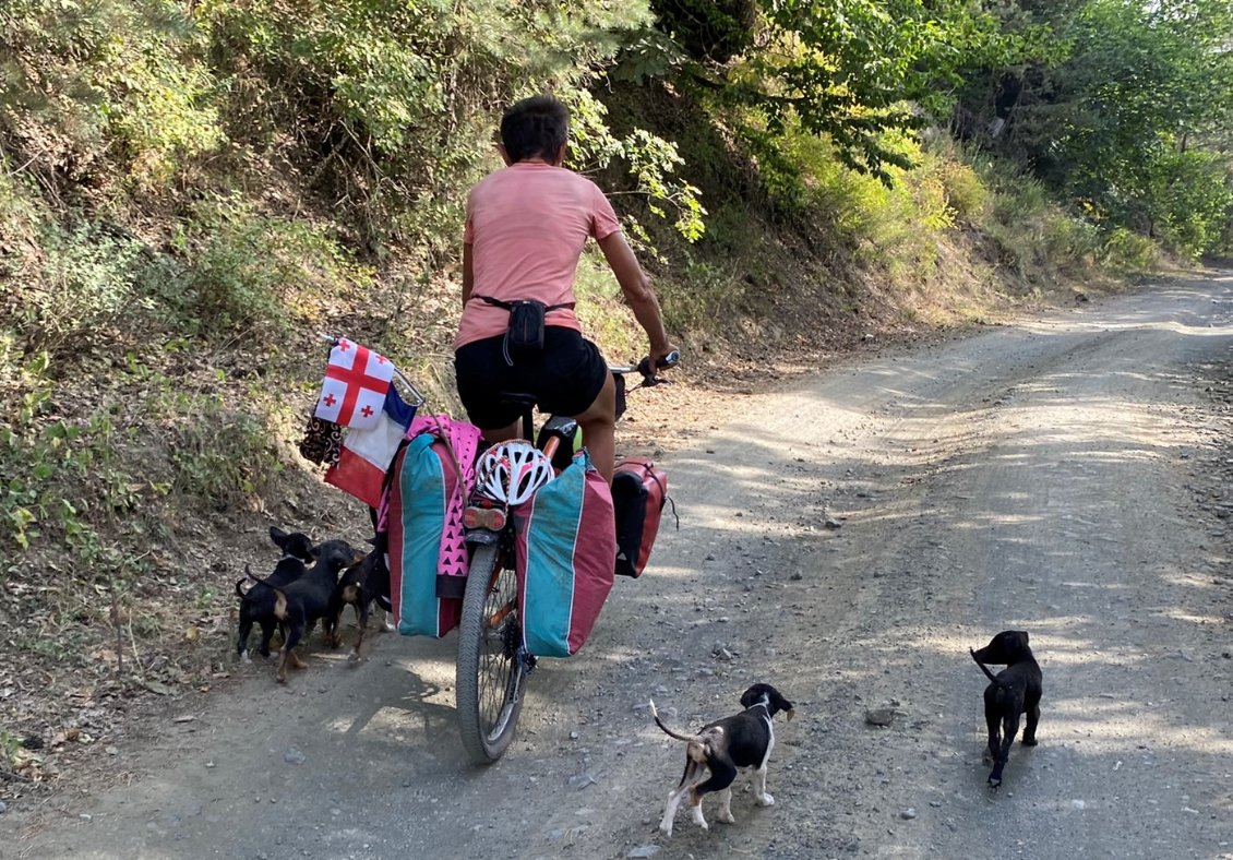 Voila voila... si y'en a pas un qui se colle sous les roues, j'aurai du bol...