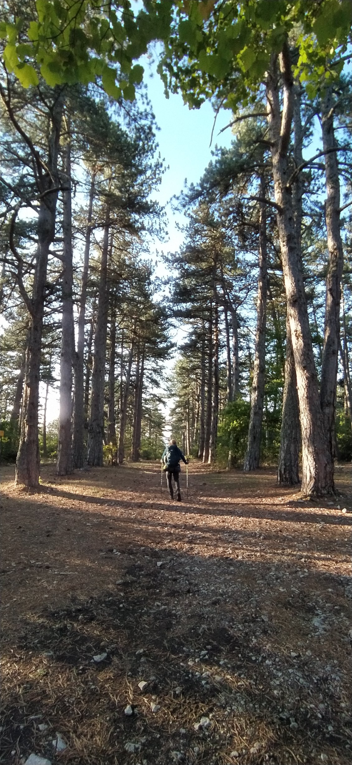 L'homme un animal comme un autre, tout petit face à la Nature