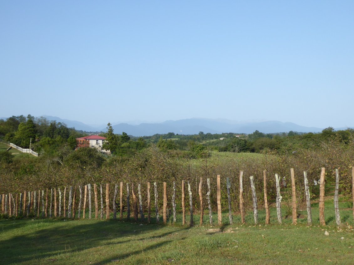 Et tout au loin on aperçoit les montagnes du Grand Caucase