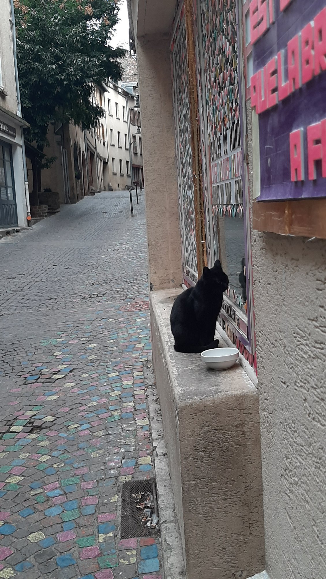 Cette journée remplie de chat noir ne pouvait que bien se passer