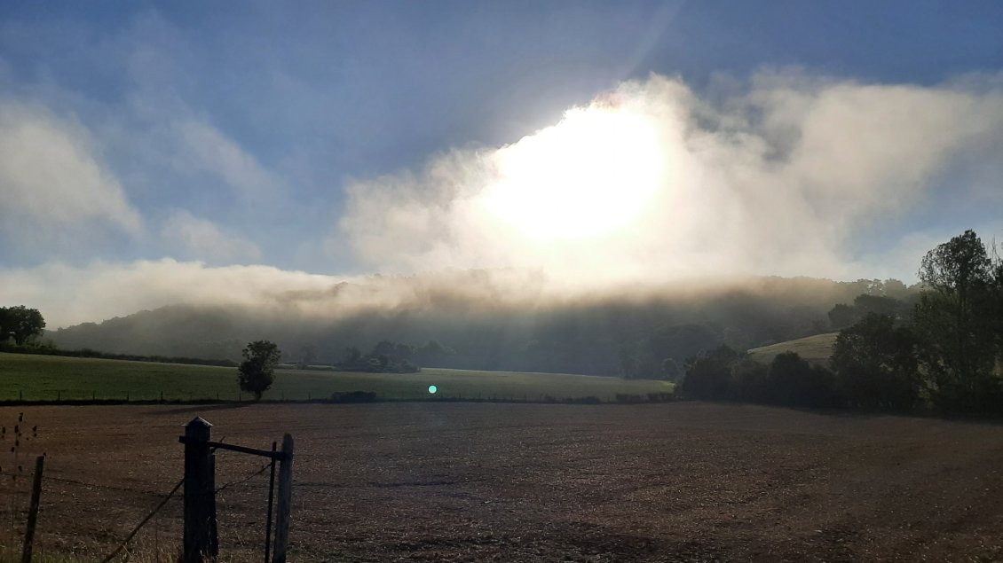 cache cache avec la brume