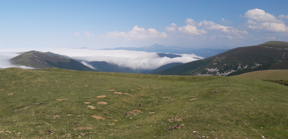 29 juillet 2021 : le soleil revenu, on aperçoit enfin les crêtes qui nous attendent, notamment le pic d'Orhy (vu de l'Astobizkar, 1500 m)