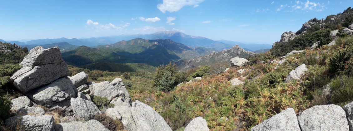 12 août 2022 : depuis un certain temps, le Canigou nous observe !