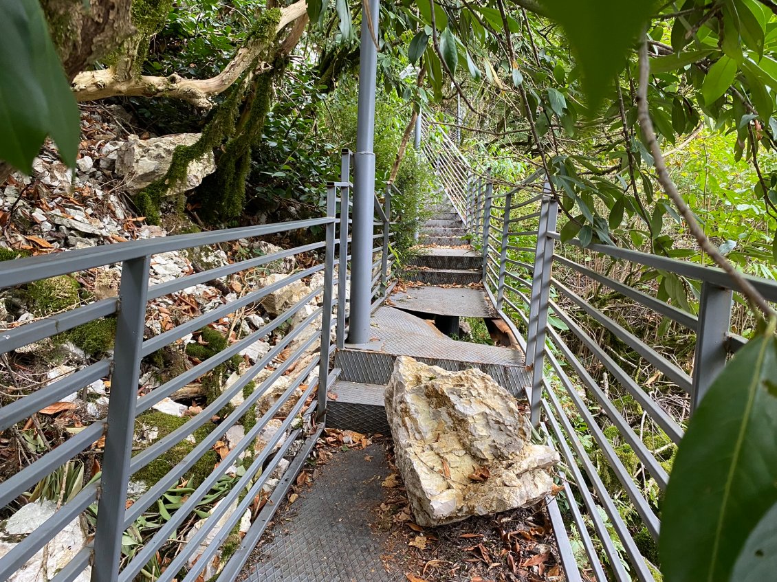 Une passerelle à toute épreuve