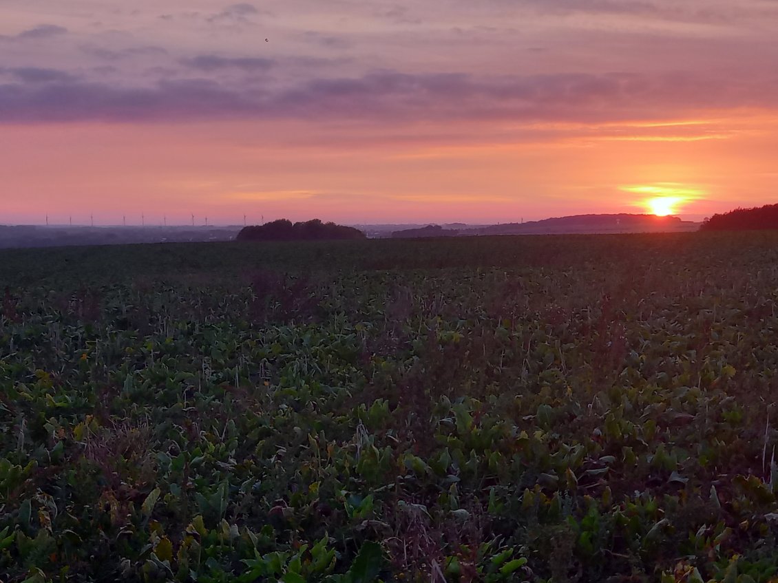 Coucher de soleil Picard