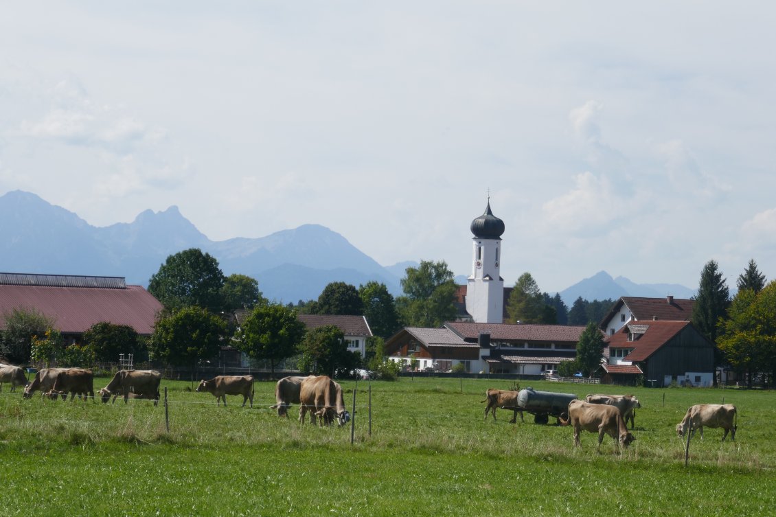 L'élevage est de taille raisonnable en Bavière.
