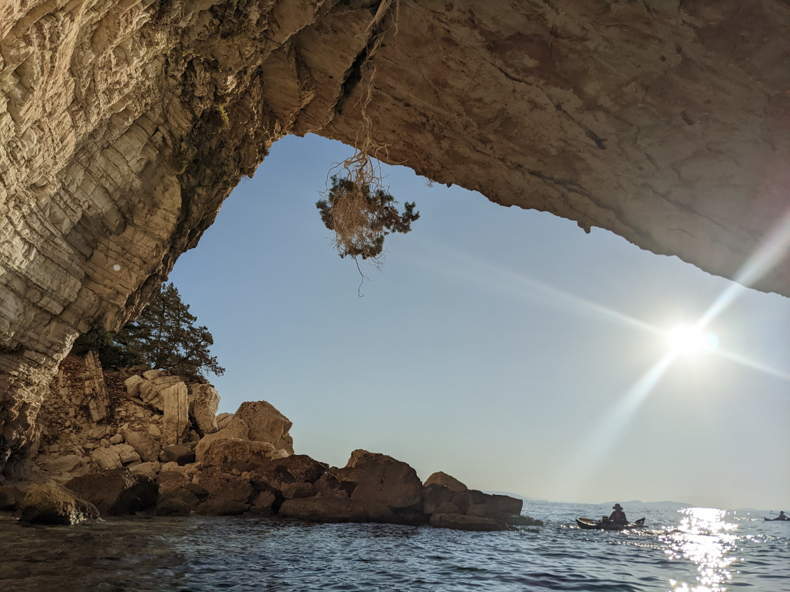 Belles lumières matinales et un arbre anticonformiste