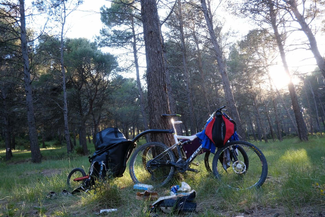 Bivouac dans la forêt