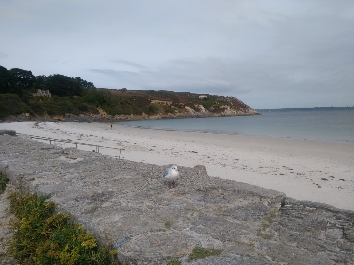 Plage de Camaret