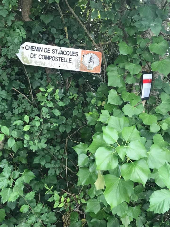 Jour 13-Compostelle