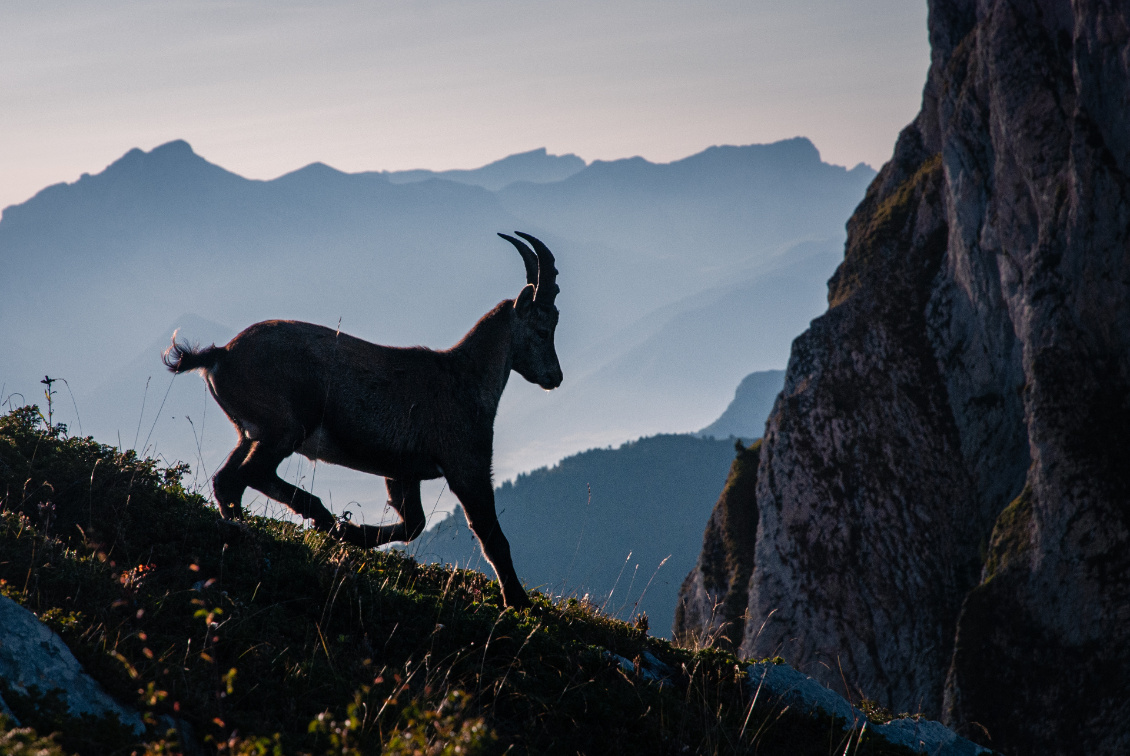 Vercors. Photo : Anthony.