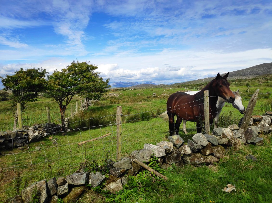 Paysages du Connemara