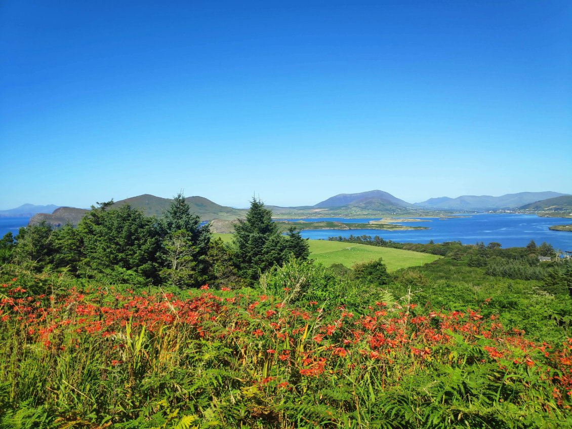 Valentia Island - Kerry