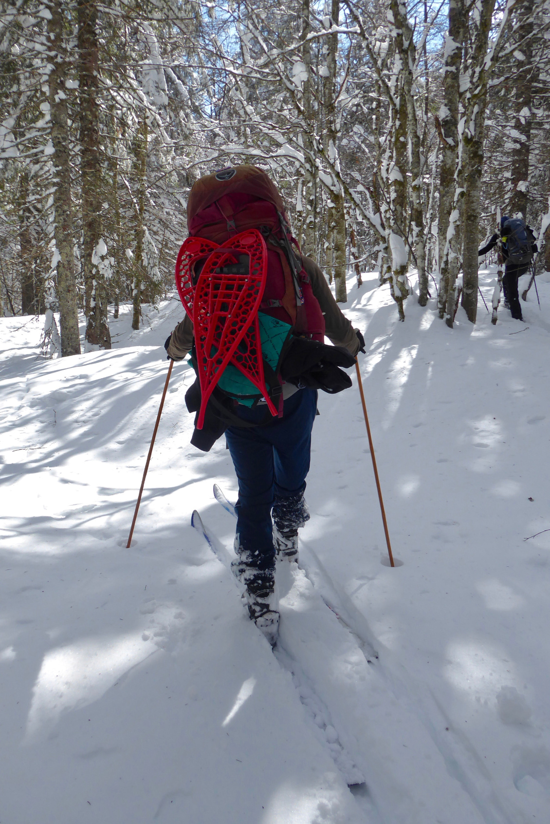 Jura. En cas de casse ou de terrain impraticable à skis, une paire de raquettes de secours peut dépanner ! :-) Photo : Manon