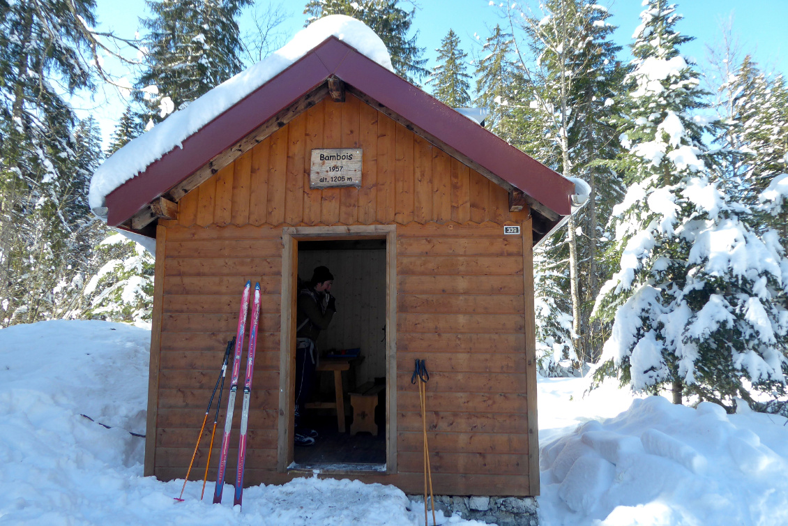 Itinérance dans le Jura. Récup ! Skis à profil droit et écailles ancienne génération avec fixations SNS Profil (années 1980-90). Photo : Manon