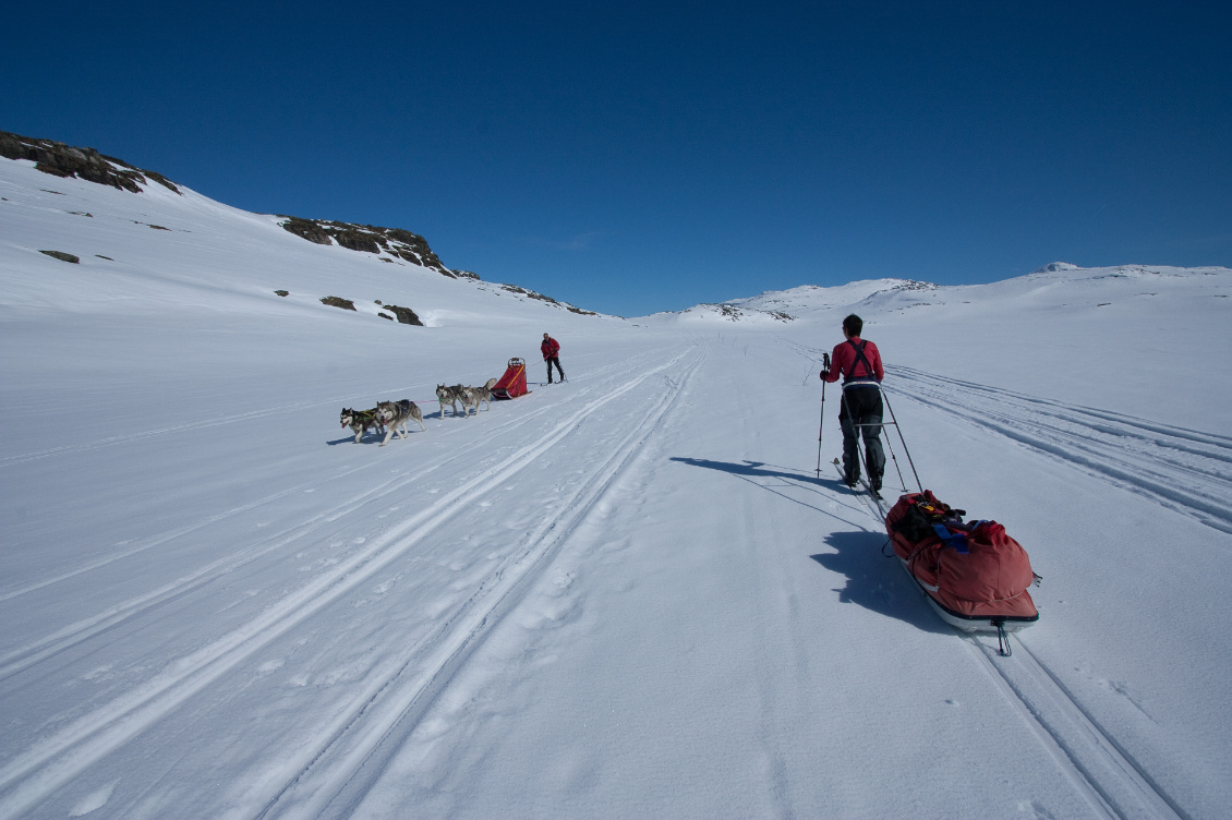 Pulka Fjellpulken en Norvège. Photo : Manu d'Adhémar