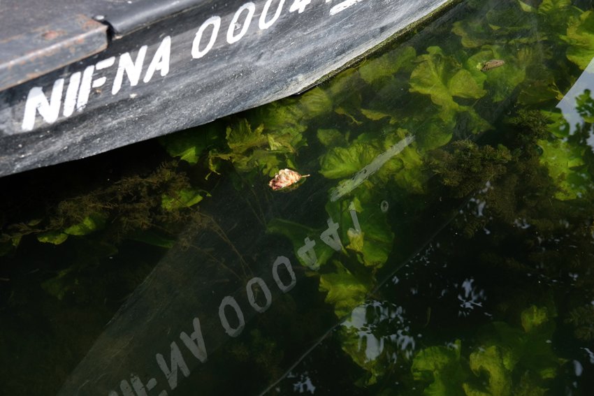 Couverture de Cinq jours d aviron sur la Sèvre Niortaise.