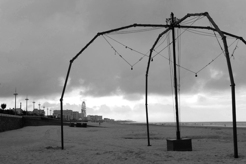 Araignée des sables.