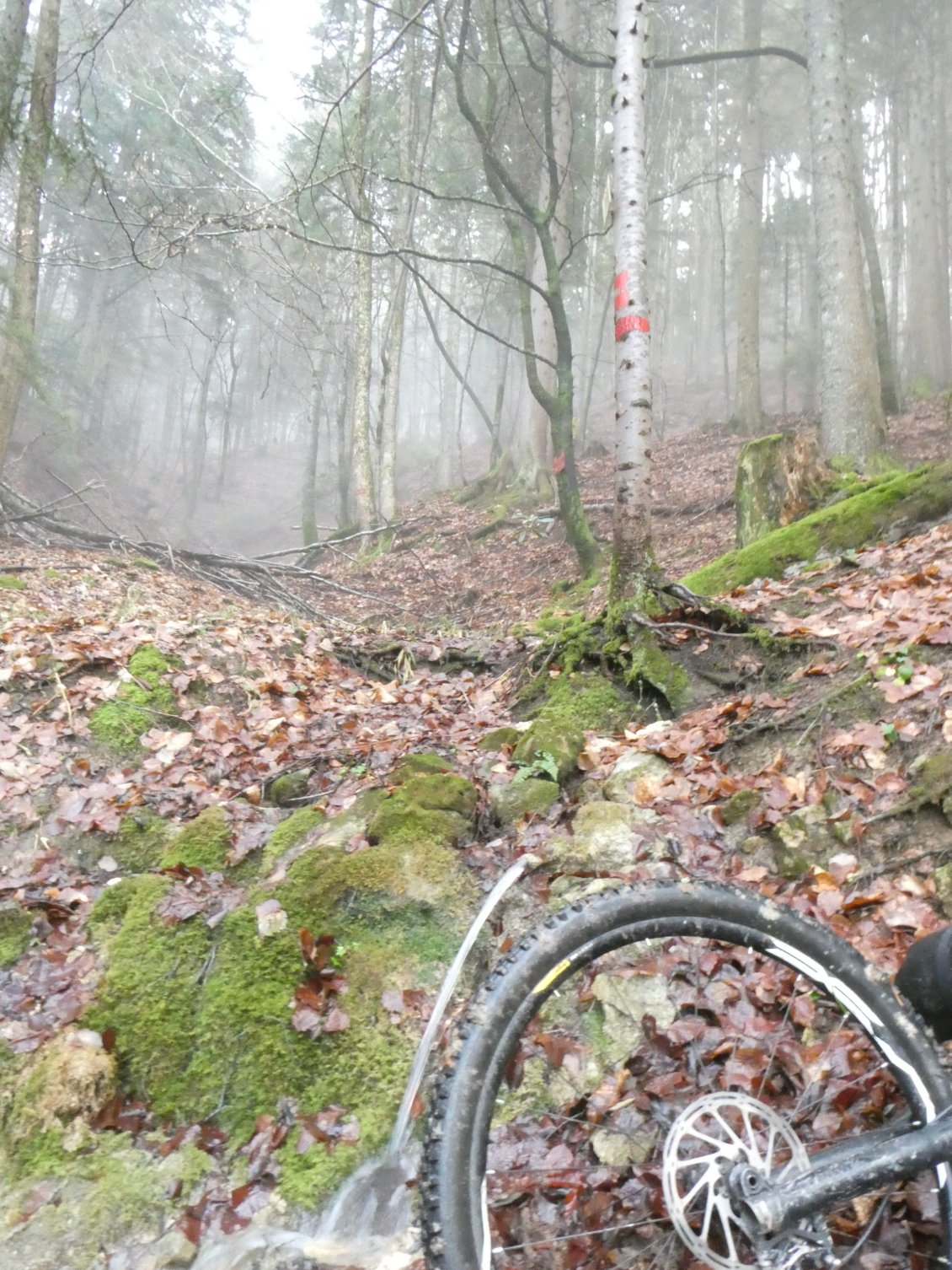 la chartreuse et même le Vercors déborde de partout.