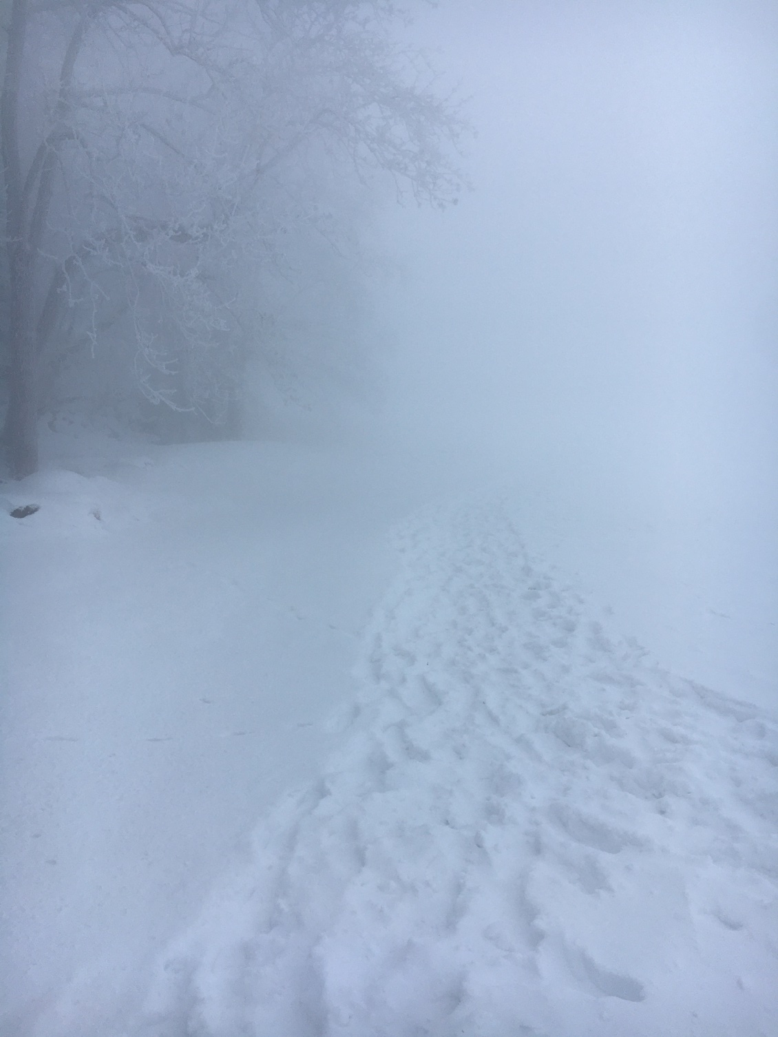 C’était «  Nuit et brouillard »!🌫