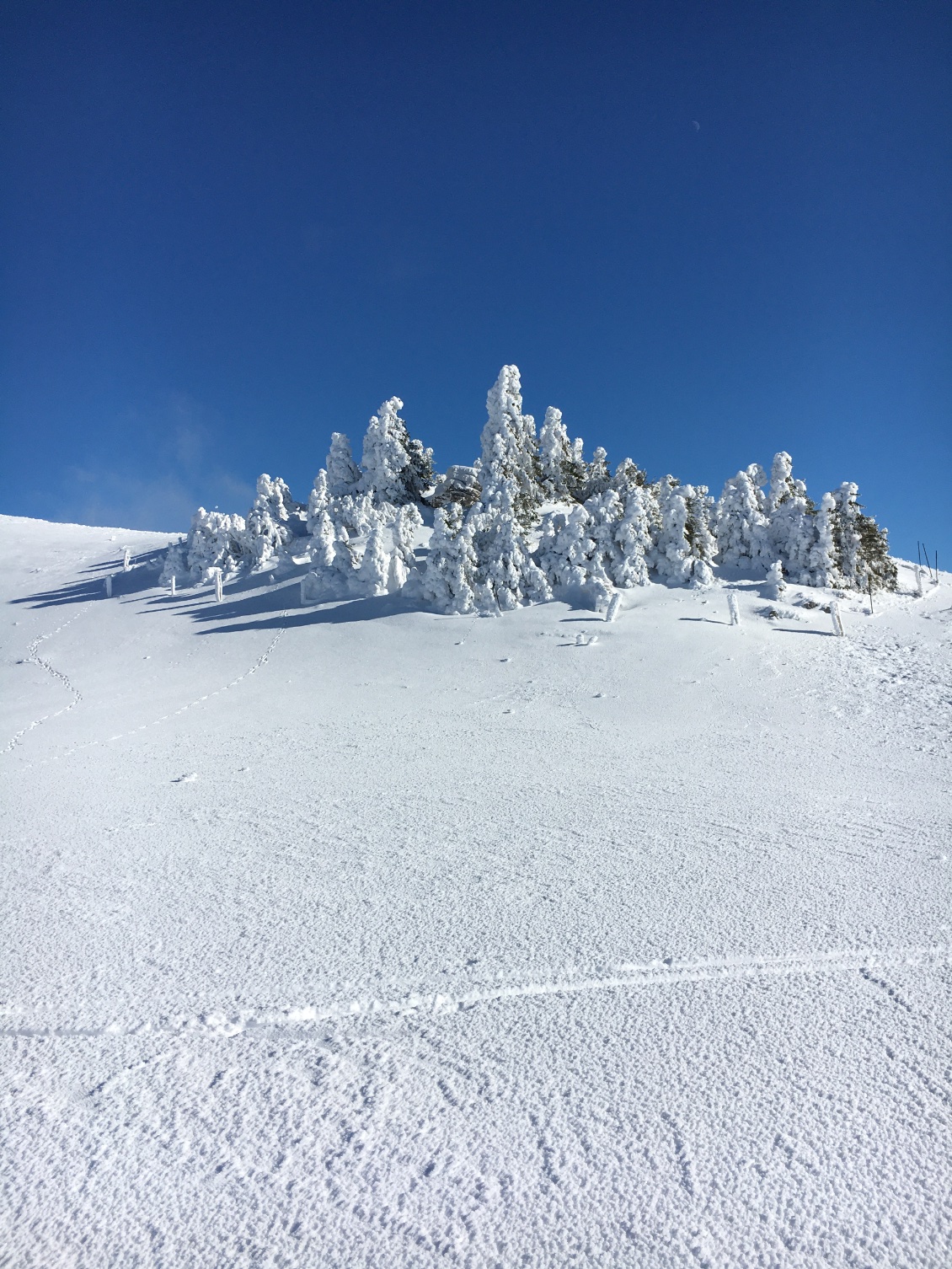 De plus, la neige ❄️ était excellente!