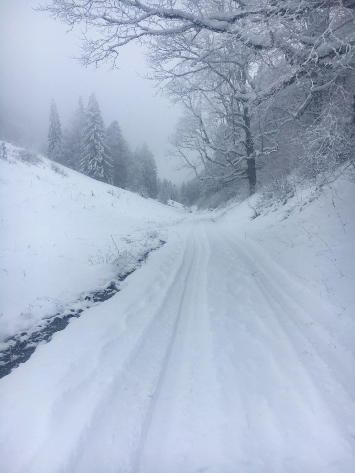 Parcours moins chaotique et plus adapté au ski de fond ⛷